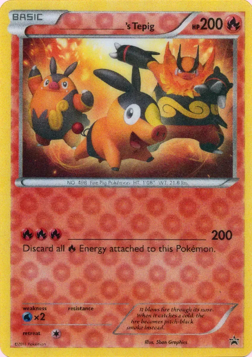 _'s Tepig